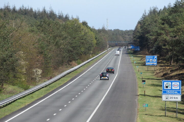 49760674093_bd570c2858_b